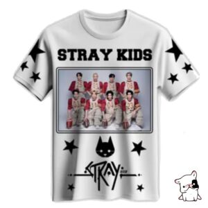Remera Stray Kids