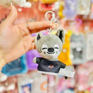 LLaveros de peluche STRAY KIDS chico